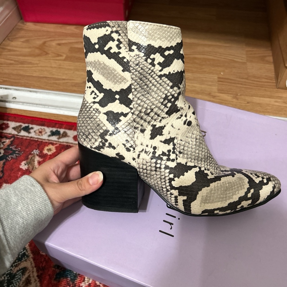 Madden Girl Black and Cream Snakeskin Booties